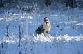 jammertal_021