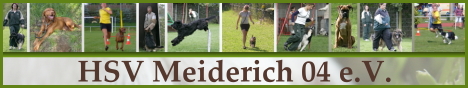 Hundesportverein Meiderich 04